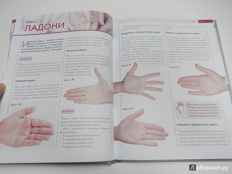 Иллюстрация 18 из 31 для Чтение по руке. Новый взгляд на хиромантию - Савоськин, Баранова | Лабиринт - книги. Источник: dbyyb