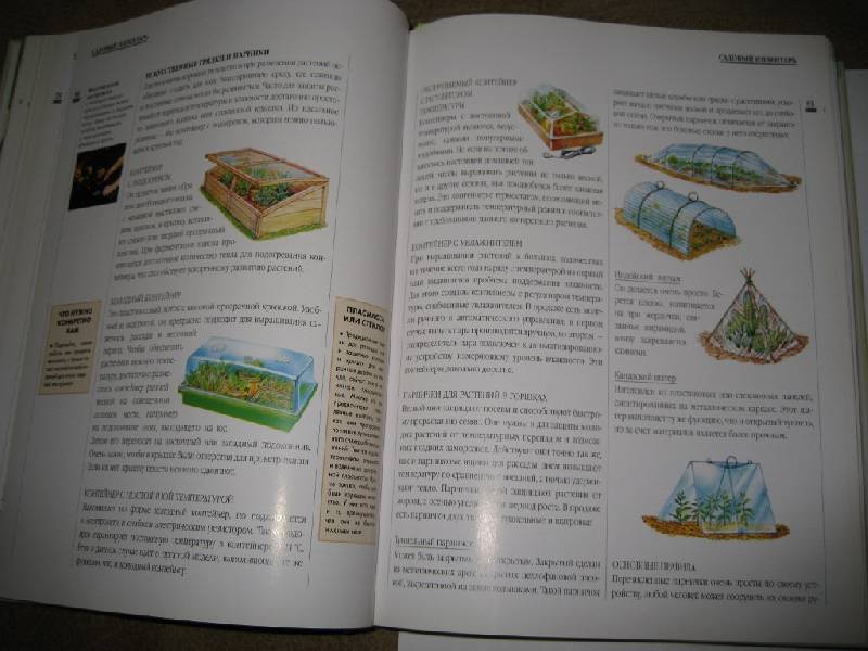 Иллюстрация 11 из 15 для Декоративные растения от А до Я: Дом, балкон, сад | Лабиринт - книги. Источник: Нателла