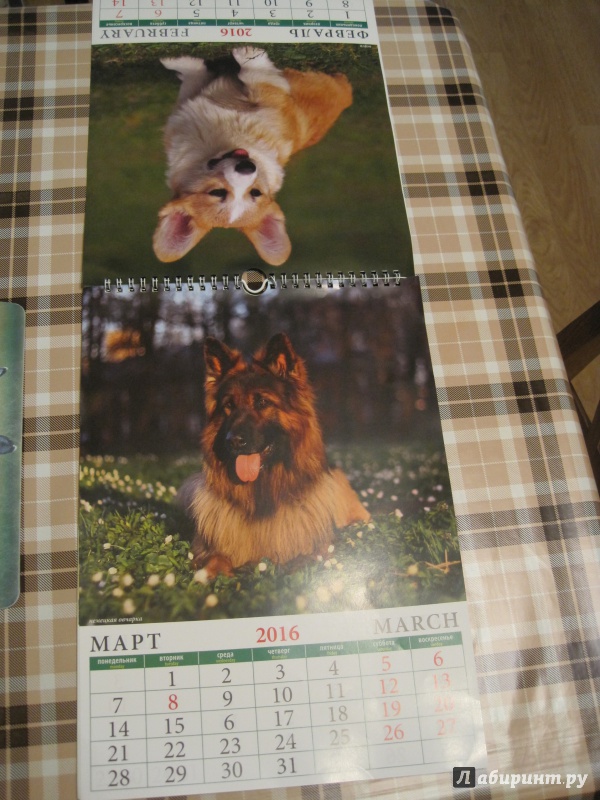 Иллюстрация 5 из 8 для Календарь настенный на 2016 год "Собаки" (11606) | Лабиринт - сувениры. Источник: Наталья