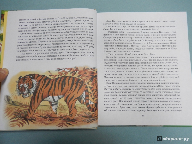 Иллюстрация 9 из 32 для Маугли - Редьярд Киплинг | Лабиринт - книги. Источник: dbyyb