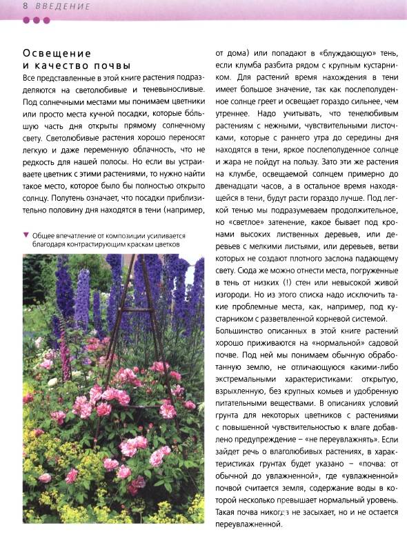 Иллюстрация 18 из 35 для Красивые цветники в вашем саду - Хельга Гроппер | Лабиринт - книги. Источник: Joker