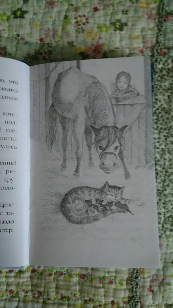 Иллюстрация 73 из 81 для Котёнок Пушинка, или Рождественское чудо - Холли Вебб | Лабиринт - книги. Источник: Лабиринт