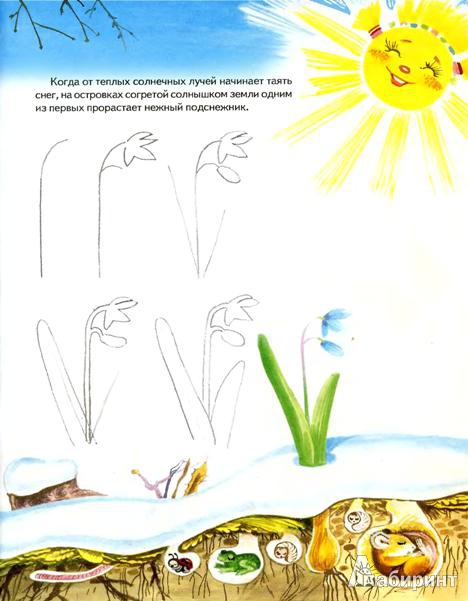 Иллюстрация 2 из 31 для Школа рисования. Шаг за шагом - Рузанна Адамянц | Лабиринт - книги. Источник: Низамутдинова  Олия