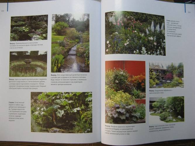 Иллюстрация 25 из 25 для Настольная книга садового дизайнера - Александер Розмари | Лабиринт - книги. Источник: Весна пришла