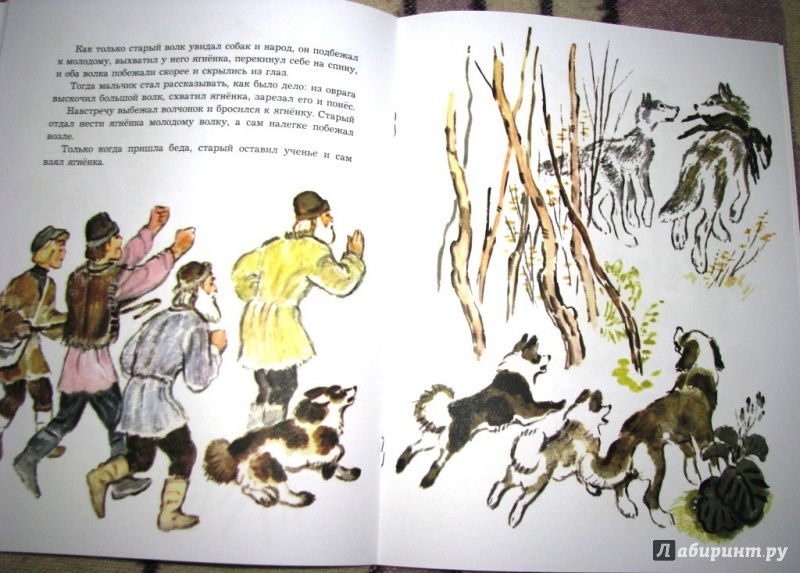 Иллюстрация 36 из 48 для О животных и птицах - Лев Толстой | Лабиринт - книги. Источник: Бог в помощь