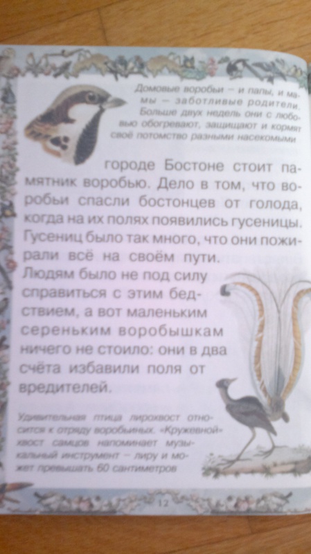Иллюстрация 4 из 17 для Птичьи секреты - Валерий Роньшин | Лабиринт - книги. Источник: Гусева  Анна Сергеевна