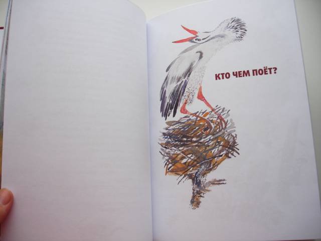 Иллюстрация 33 из 37 для Кто чем поет? - Виталий Бианки | Лабиринт - книги. Источник: Осьминожка