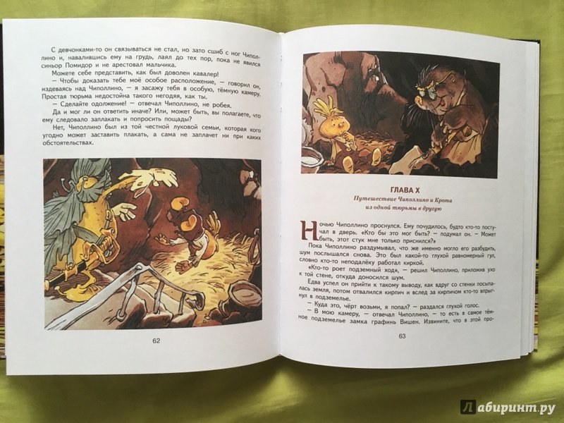 Иллюстрация 66 из 73 для Приключения Чиполлино - Джанни Родари | Лабиринт - книги. Источник: Mariya Antonenko