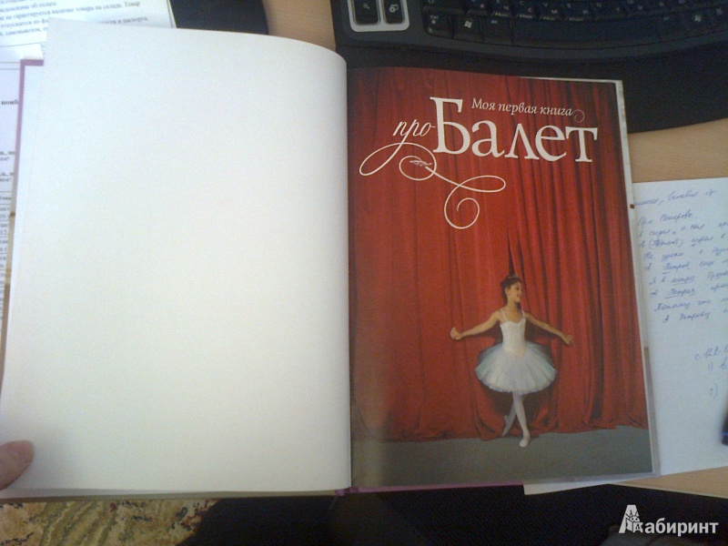 Иллюстрация 3 из 33 для Моя первая книга про балет - Касл, Буассон | Лабиринт - книги. Источник: Натанька