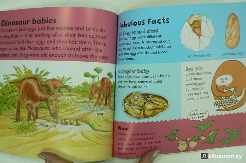 Иллюстрация 6 из 6 для Dinosaurs - Jaclyn Crupi | Лабиринт - книги. Источник: Марина