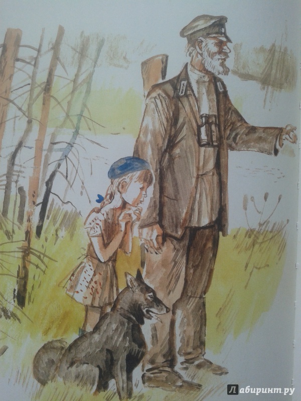 Иллюстрация 31 из 68 для Мой дедушка - егерь - Юрий Грибов | Лабиринт - книги. Источник: timesoul