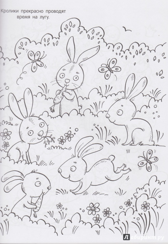 Иллюстрация 34 из 42 для Детеныши животных. Раскраска | Лабиринт - книги. Источник: Кривоногова  Олеся Александровна