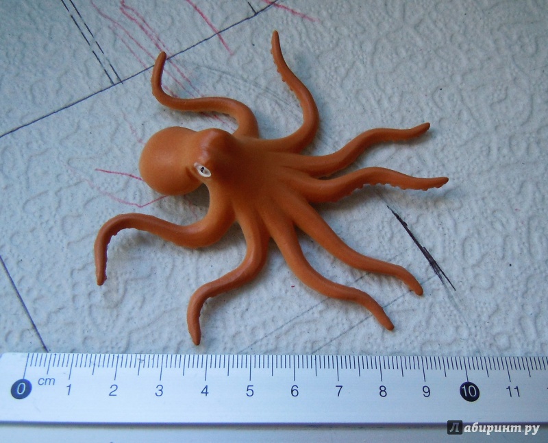 Иллюстрация 2 из 8 для Набор игрушечных морских животных (6 штук х 10 см) (Т50514) | Лабиринт - игрушки. Источник: Нагаева  Оксана