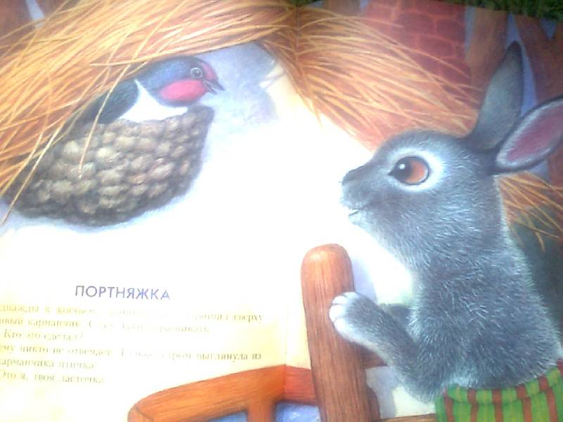 Иллюстрация 15 из 46 для Сказки о природе. Сказки-малютки - Геннадий Цыферов | Лабиринт - книги. Источник: luda0812
