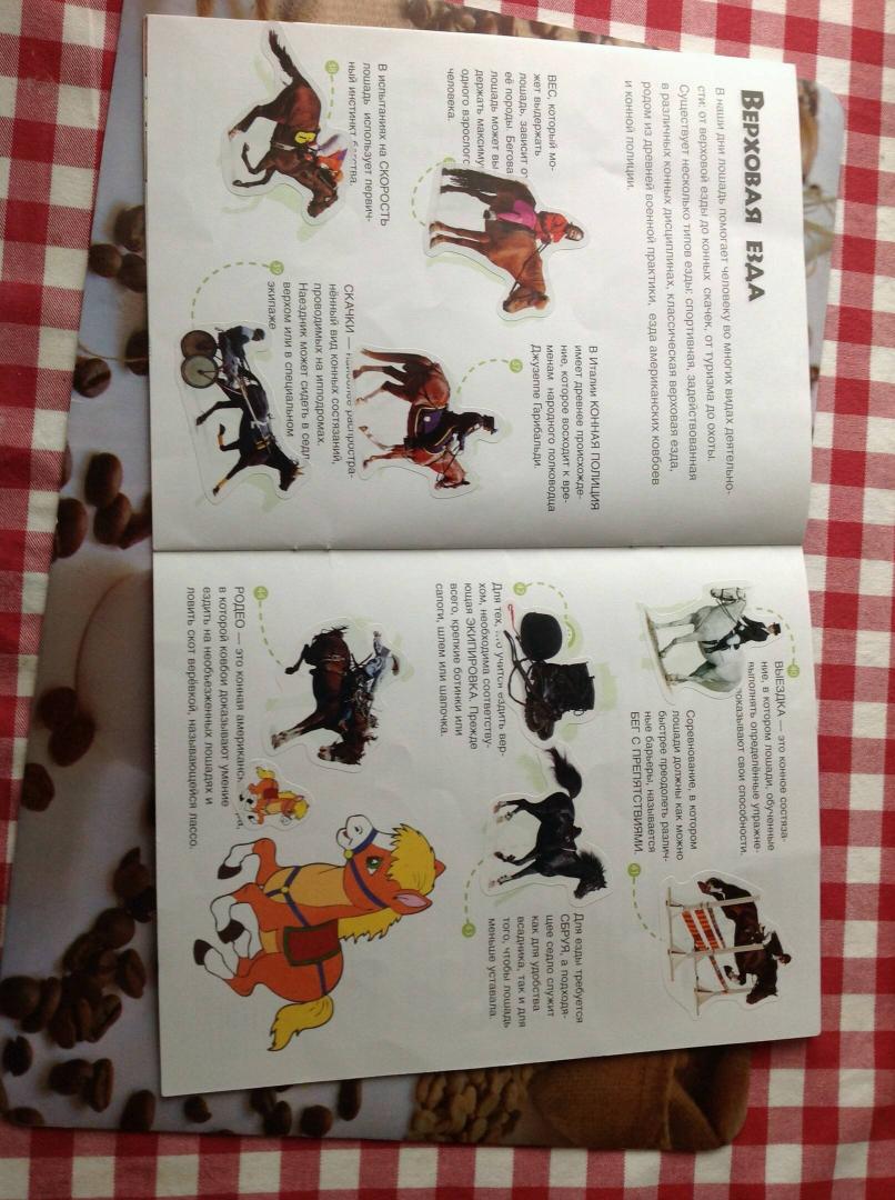 Иллюстрация 9 из 23 для Мои друзья - лошади | Лабиринт - книги. Источник: Лабиринт