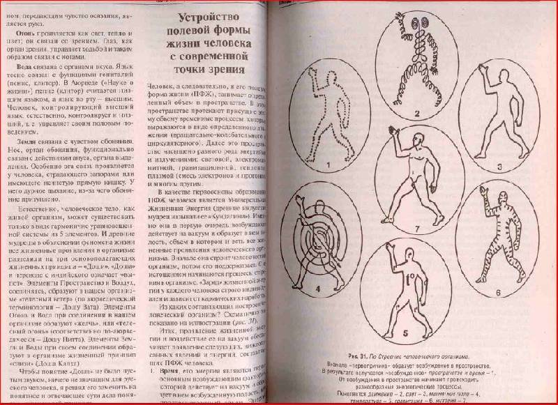 Иллюстрация 10 из 24 для Основы здоровья. Тело очищается водой - Геннадий Малахов | Лабиринт - книги. Источник: alexss