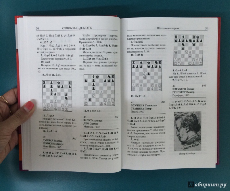 Иллюстрация 5 из 30 для Короткие шахматы. 555 дебютных ошибок - Анатолий Мацукевич | Лабиринт - книги. Источник: K@nfetka
