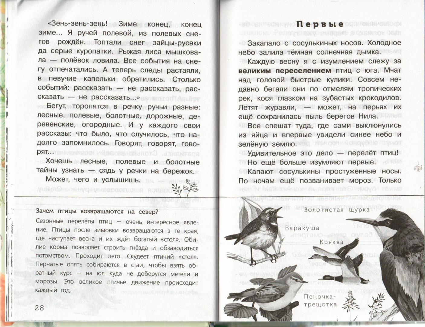 Иллюстрация 16 из 24 для Лесные тайнички - Николай Сладков | Лабиринт - книги. Источник: Лабиринт