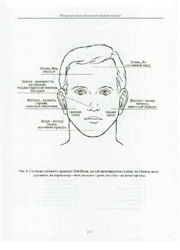 Иллюстрация 34 из 47 для Искусство диагностики по лицу. Атлас - Эмма Гоникман | Лабиринт - книги. Источник: Юта