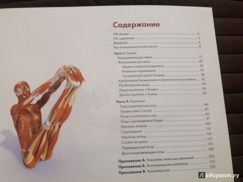 Иллюстрация 12 из 27 для Ключевые позы йоги. Руководство по функциональной анатомии йоги - Рэй Лонг | Лабиринт - книги. Источник: Marat  Aynabekov