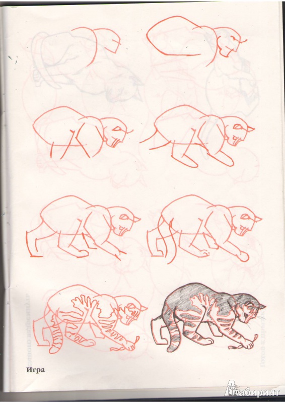 Иллюстрация 8 из 35 для Рисуем 50 кошек - Ли Эймис | Лабиринт - книги. Источник: Tiger.