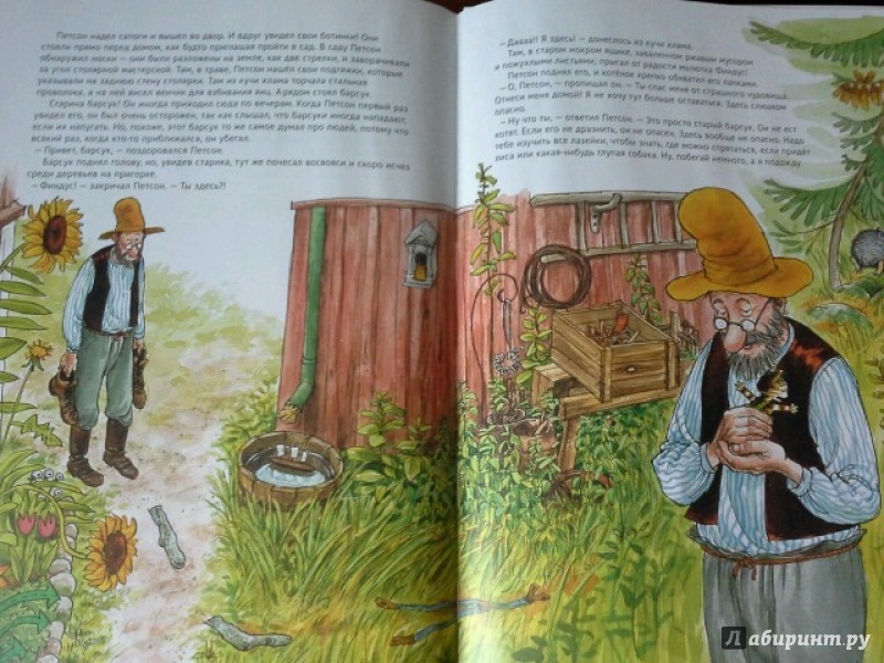 Иллюстрация 70 из 102 для История о том как Финдус потерялся, когда был маленьким - Свен Нурдквист | Лабиринт - книги. Источник: Юлия