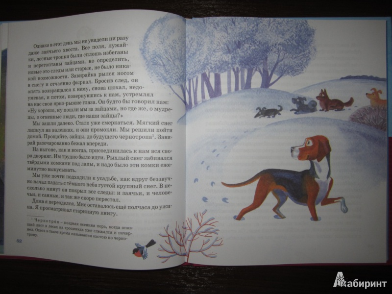 Иллюстрация 36 из 39 для Белый пудель - Александр Куприн | Лабиринт - книги. Источник: ЮлияО