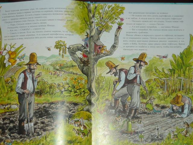 Иллюстрация 9 из 25 для Переполох в огороде - Свен Нурдквист | Лабиринт - книги. Источник: Ромашка:-)