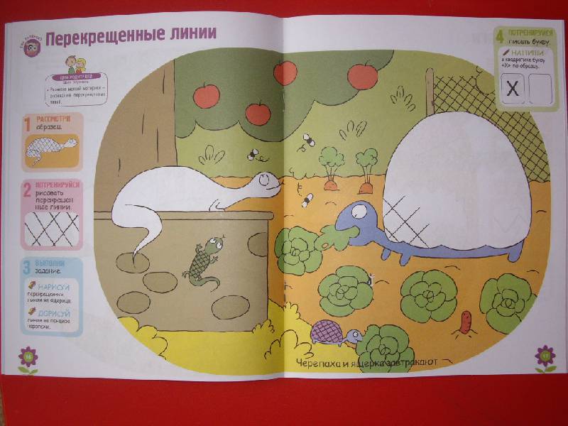 Иллюстрация 15 из 17 для Развитие ребенка. 3-4 года. Готовим пальчики к письму - Клэр Уаро | Лабиринт - книги. Источник: Майский день