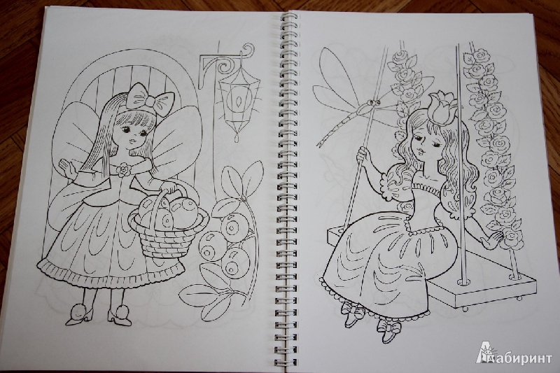 Иллюстрация 39 из 44 для Раскраска "Сказочные феи и принцессы" (05834) | Лабиринт - книги. Источник: Vilvarin  Laurea