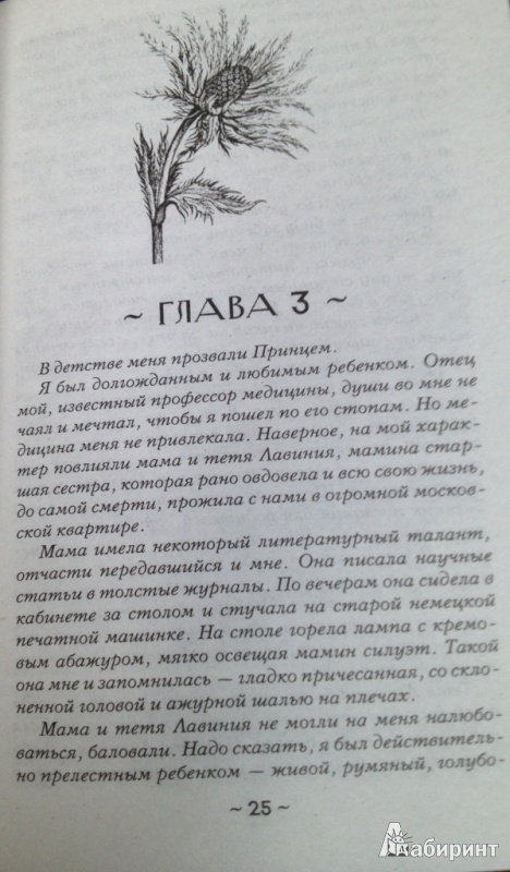 Иллюстрация 8 из 16 для Дневник сорной травы - Наталья Солнцева | Лабиринт - книги. Источник: Александрова  Лина