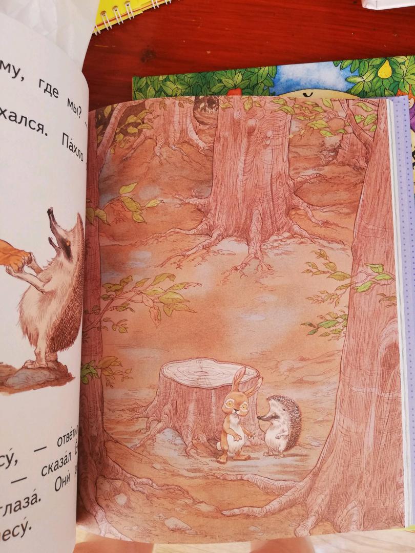 Иллюстрация 53 из 55 для Сказки о Ёжике и Кролике - Пол Стюарт | Лабиринт - книги. Источник: Моисеева Ульяна