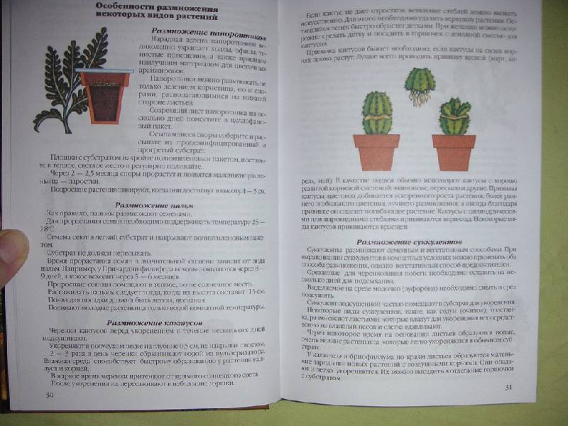 Иллюстрация 1 из 4 для Комнатные растения: Практическое руководство по уходу - Валентин Воронцов | Лабиринт - книги. Источник: kisska