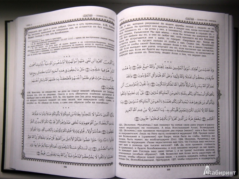 Иллюстрация 3 из 11 для Коран | Лабиринт - книги. Источник: Раевская  Наталья