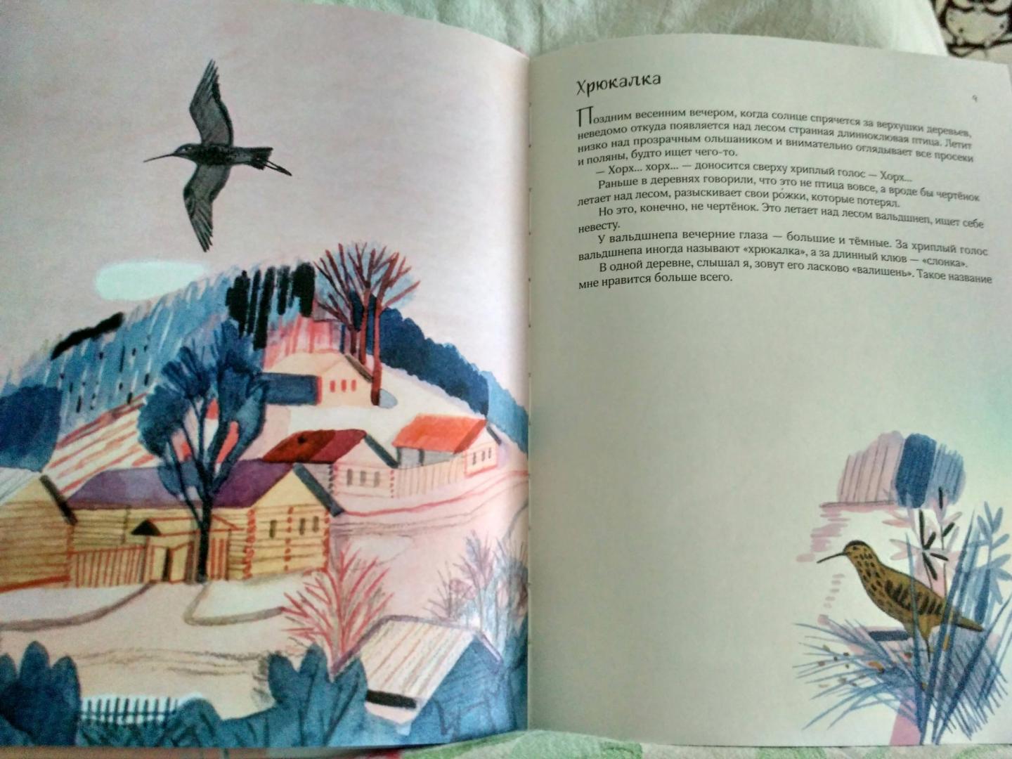 Иллюстрация 13 из 26 для Воробьиное озеро - Юрий Коваль | Лабиринт - книги. Источник: Alekseeva  Раиса