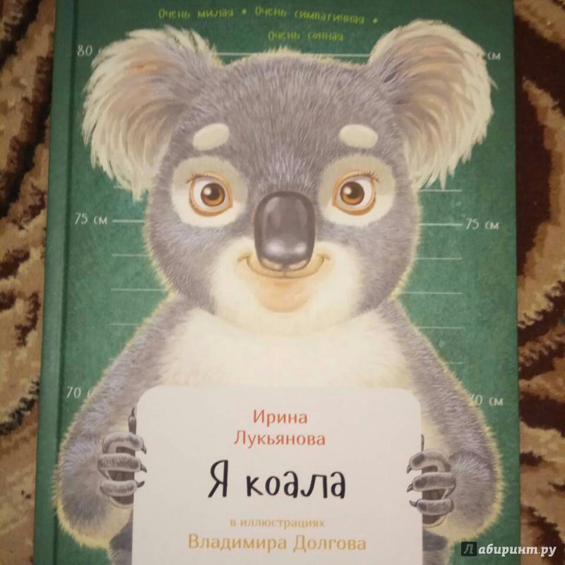 Книга коала. Коала с книгой. Книга я коала. Книга о животных с коалой.