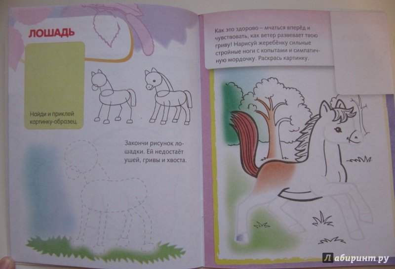 Иллюстрация 10 из 29 для Домашние животные. Дорисуй и раскрась | Лабиринт - книги. Источник: Чернова  Анастасия Юрьевна