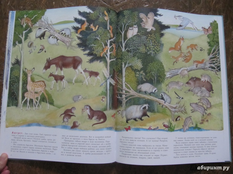 Иллюстрация 61 из 109 для В лесу - Петр Багин | Лабиринт - книги. Источник: Шеин  Андрей