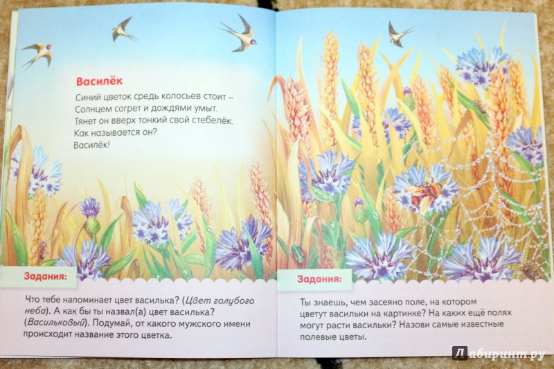 Иллюстрация 6 из 27 для Стихи для самых маленьких. Чудесные цветы - Явецкая, Винклер | Лабиринт - книги. Источник: Террил