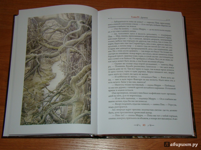 Иллюстрация 13 из 30 для Властелин колец. Две твердыни - Толкин Джон Рональд Руэл | Лабиринт - книги. Источник: ТРЕМС