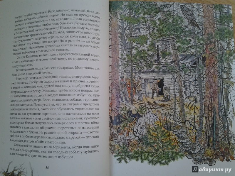 Иллюстрация 79 из 154 для Золотая Ригма - Всеволод Сысоев | Лабиринт - книги. Источник: Olga
