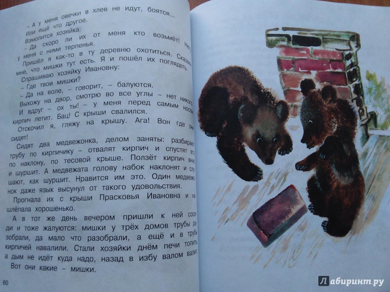 Иллюстрация 43 из 61 для Друзья - Евгений Чарушин | Лабиринт - книги. Источник: Ольга