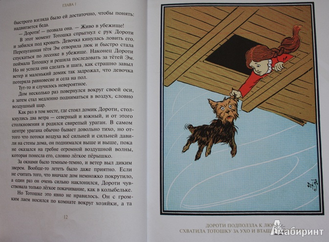 Иллюстрация 6 из 59 для Удивительный волшебник из Страны Оз - Лаймен Баум | Лабиринт - книги. Источник: КНИЖНОЕ ДЕТСТВО