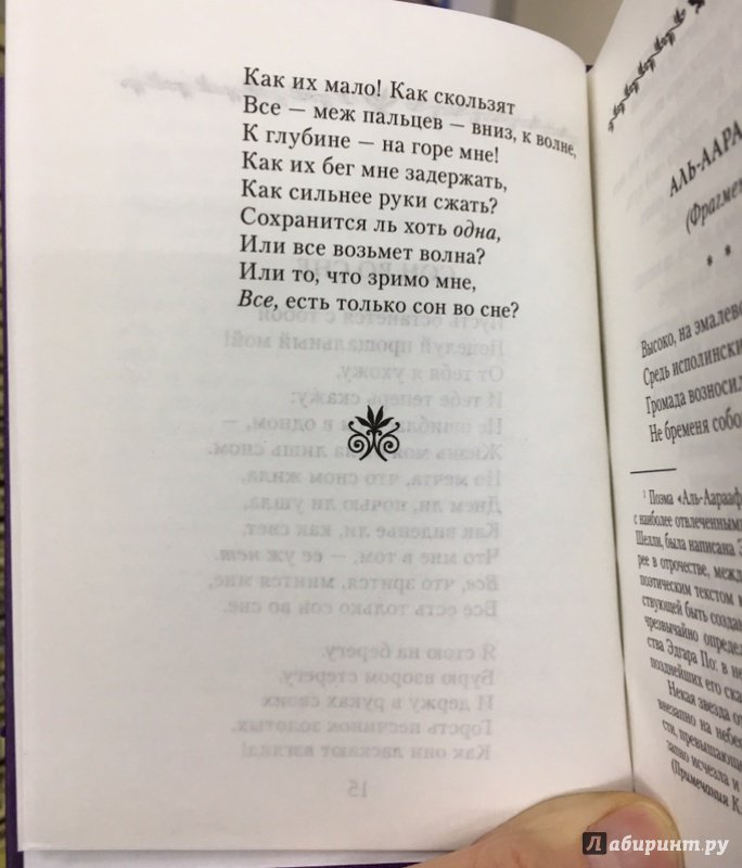 Иллюстрация 16 из 16 для Ворон. Стихотворения - Эдгар По | Лабиринт - книги. Источник: Lina