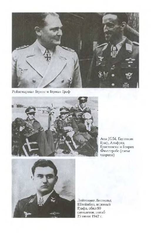 Иллюстрация 24 из 28 для Черный крест и красная звезда. Воздушная война над Россией. 1941-1944 - Франц Куровски | Лабиринт - книги. Источник: Юта