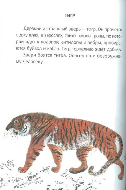 Иллюстрация 12 из 42 для Большие и маленькие - Евгений Чарушин | Лабиринт - книги. Источник: bel-k