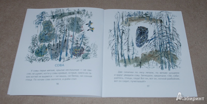 Иллюстрация 16 из 25 для В лесу - Евгений Чарушин | Лабиринт - книги. Источник: Книжный кот