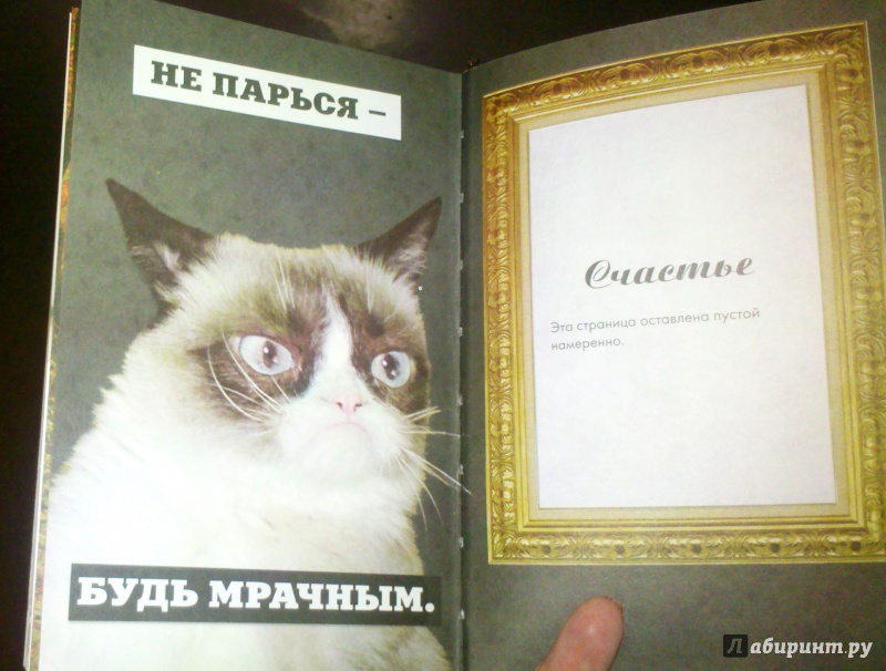 Иллюстрация 8 из 12 для Grumpy Cat. Правила жизни самой сердитой кошки в мире | Лабиринт - книги. Источник: Aske
