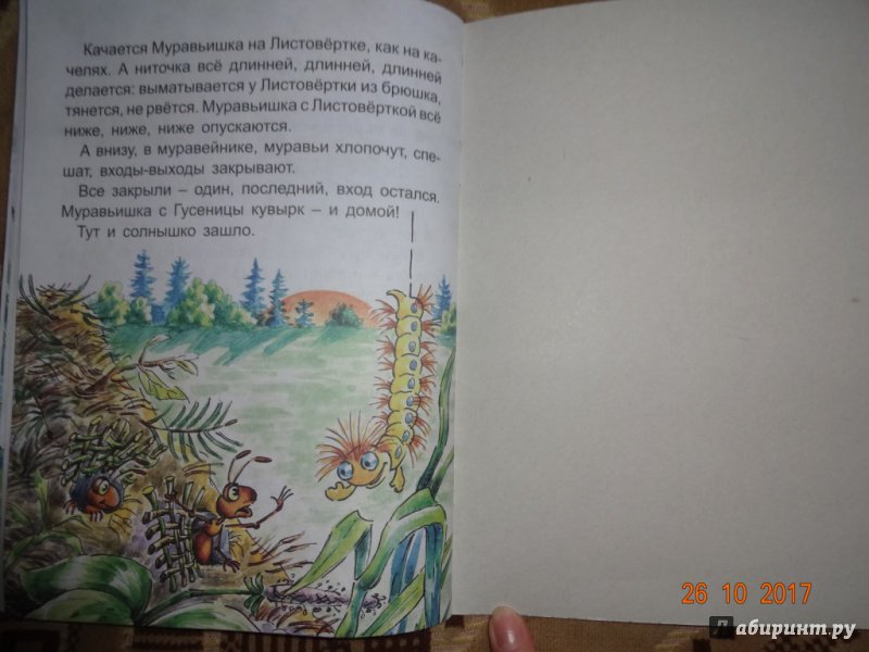 Иллюстрация 20 из 20 для Как муравьишка домой спешил - Виталий Бианки | Лабиринт - книги. Источник: Nюша