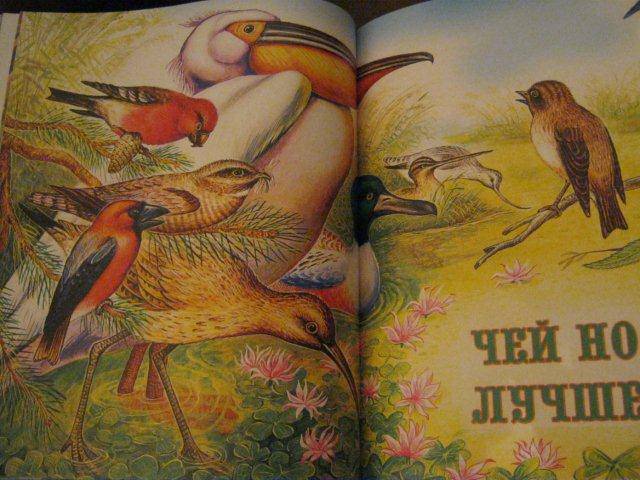 Иллюстрация 14 из 35 для Сказки о животных - Виталий Бианки | Лабиринт - книги. Источник: М-и-л-е-н-а
